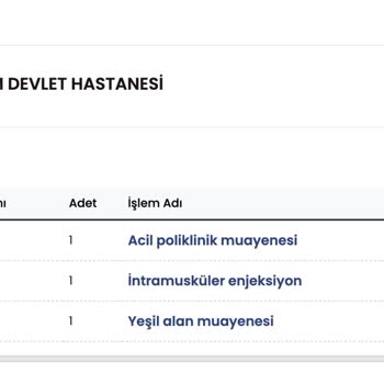 Balayı Hayal Kırıklığı: Otopark Yok, Hijyen Sorunu Ve İlgisizlik!