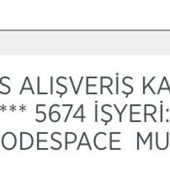 Bilgim Dışında Google Codespace Adına Hesabımdan Para Çekildi