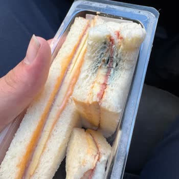 Taze Sandviçte Küf Şoku Yaşadım