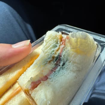 Taze Sandviçte Küf Şoku Yaşadım