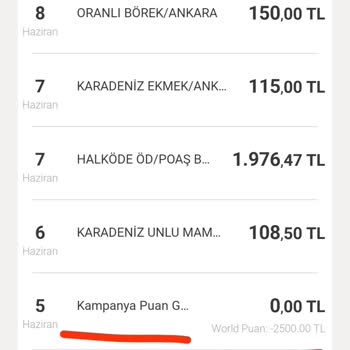 VakıfBank Kazanılan Puanların Aniden Silinmesiyle Yaşanan Mağduriyet