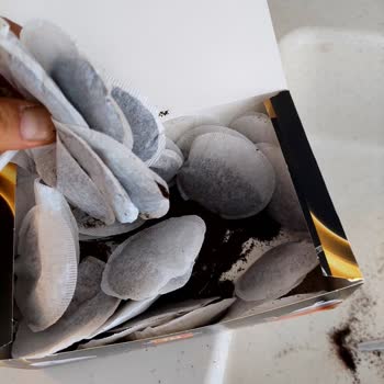 Aldığım Poşet Çayların Tamamı Yırtık Ve Kullanılamaz Çıktı