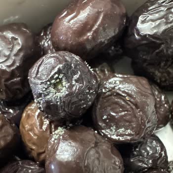 Aldığım Zeytin Küflü Ve Açılmış Çıktı