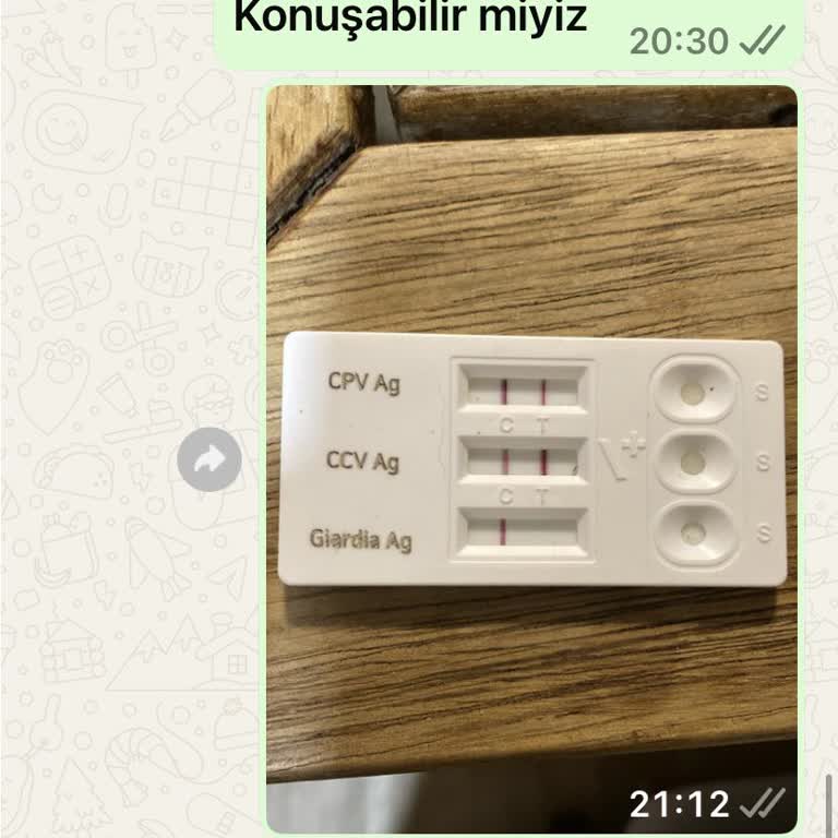 Hasta Yavru Köpek Satışı Ve İletişim Kesilmesi