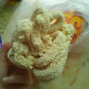 Soğan Halkalarının Parçalanmış Ve Birbirine Yapışık Çıkması