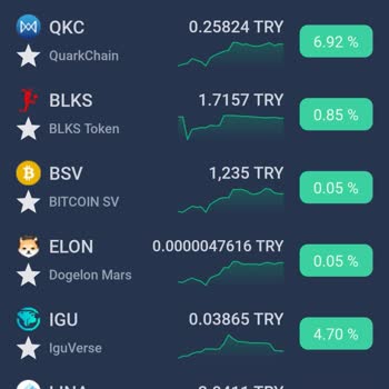 Bitexen Lina Coin Satışında İşlem Onayı Sorunu Ve Zarar Talebi