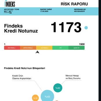 Ödenen Borcun Yanlışlıkla Varlık Yönetimine Devredilmesi Nedeniyle Risk Puanım Hesaplanamıyor
