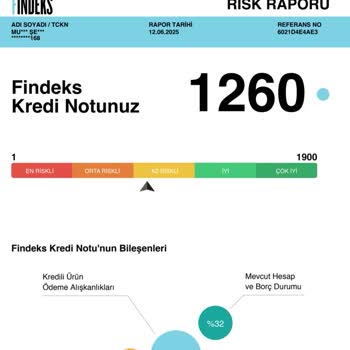 Ödenen Borcun Yanlışlıkla Varlık Yönetimine Devredilmesi Nedeniyle Risk Puanım Hesaplanamıyor