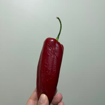 Bozulmuş Ürün Gönderimi Ve İade Sorunları Yaşadım