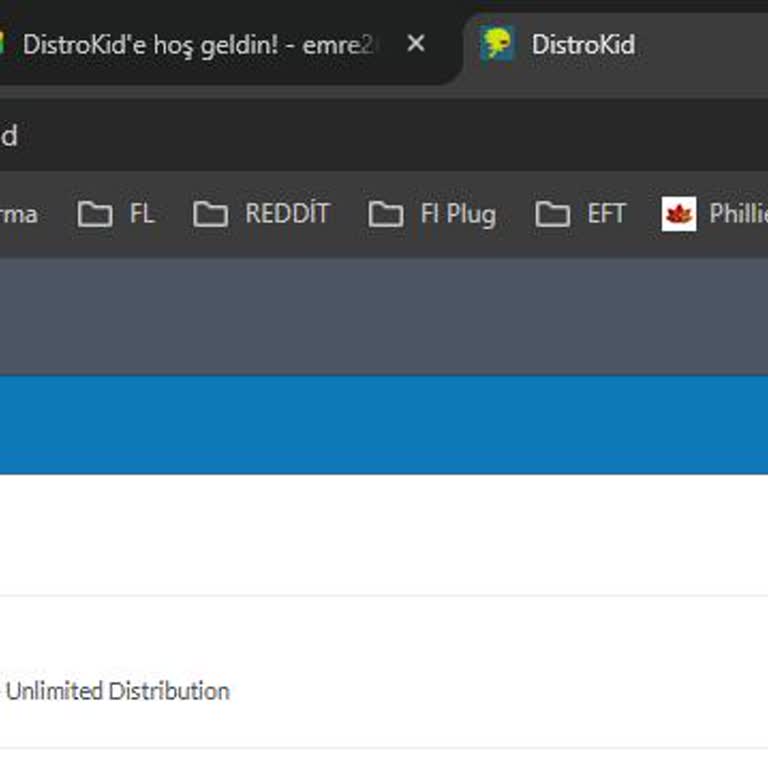 Distrokid Üyelik İptali Sonrası Ücret İadesi Yapılmadı, Destek Alınamıyor