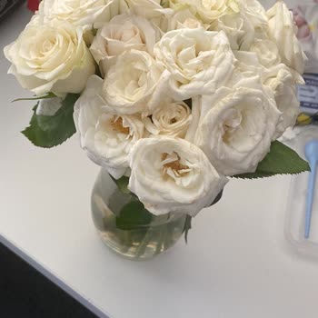 Siparişimde Gelen Güller Solmuş Ve Eksik Teslim Edildi