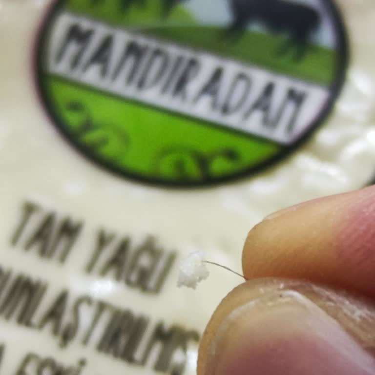 Getirden Alınan Eski Kaşar Peynirinden Kıl Çıkması Ve Firmanın İlgisizliği