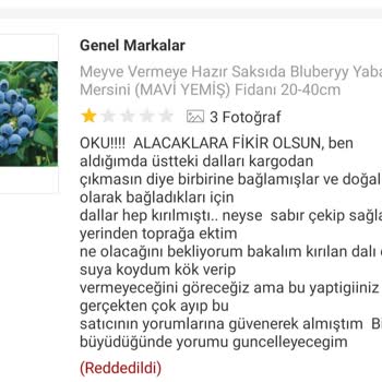 Kırık Ve Kurumuş Fidan İçin Yaptığım Yorum Yayınlanmadı