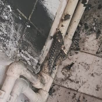 Fişe Takılı Olmayan Bulaşık Makinesi Kendi Kendine Yandı, Mağduriyetim Giderilmiyor