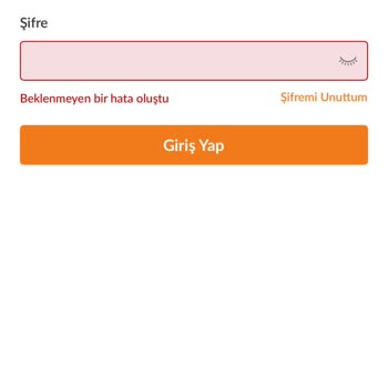 Şifre Sıfırlama Sonrası Hesabıma Erişemiyorum, Destek Alamıyorum