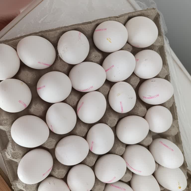 A101'den Aldığım Yumurtalar Bozuk Çıktı İade Kabul Edilmedi