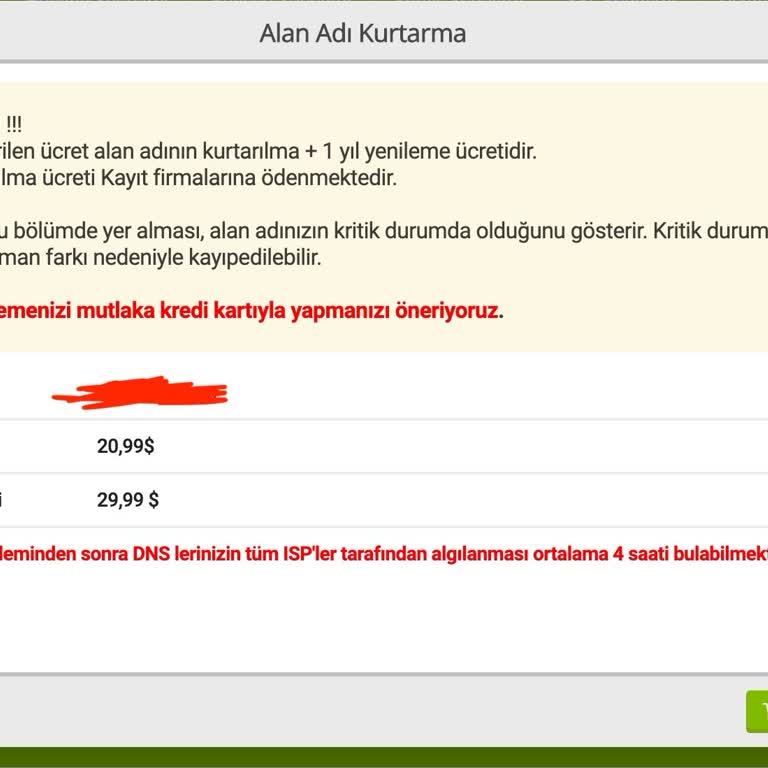 Natro Hosting’de Alan Adı Yenilemede Yüksek Ücret Ve Haksız Fiyatlandırma Şikayeti