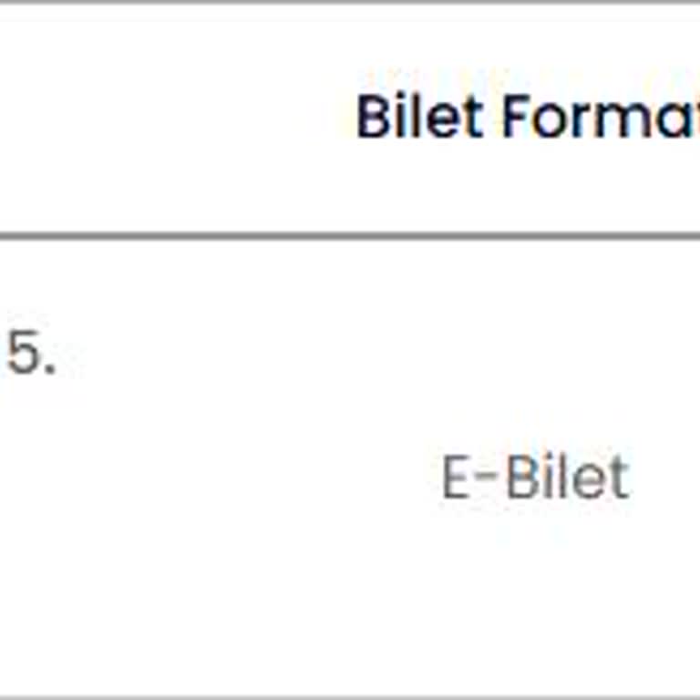 E-Bilet Teslim Edilmedi, Mağdur Edildim!