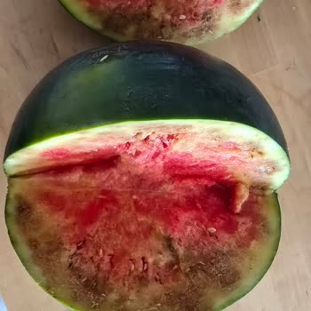 Migros'tan Alınan Karpuz Tamamen Çürük Çıktı, Büyük Hayal Kırıklığı Yaşadım