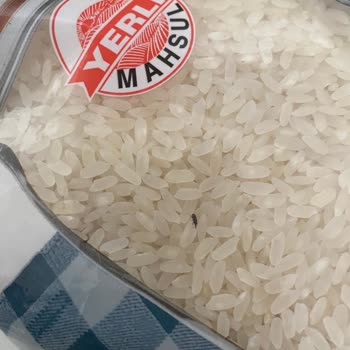 Satın Aldığım Pirinçte Canlı Böcek Çıkması Ve Hijyen Endişesi