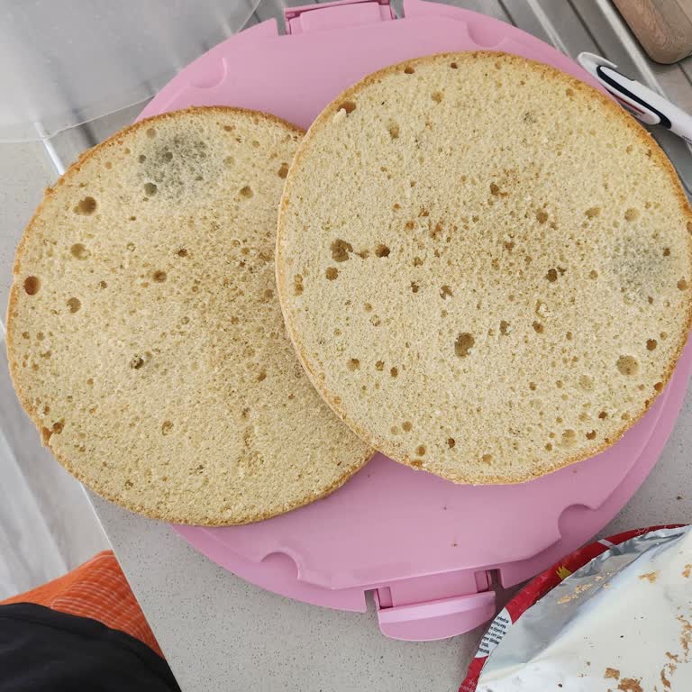 Küflü Pasta Tabanı Ve İlgisiz Müşteri Hizmetleri Deneyimi