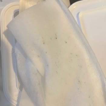 Küflü Islak Mendiller Çocuğumun Sağlığını Tehlikeye Attı