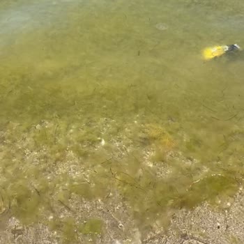 Belediye Sosyal Tesisinde Temizlik Ve Hizmet Sorunu