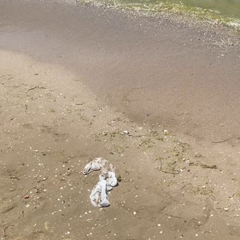 Belediye Sosyal Tesisinde Temizlik Ve Hizmet Sorunu