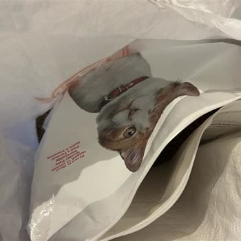 Açık Paketli Ve Şüpheli Kedi Maması İadesinde Mağduriyet