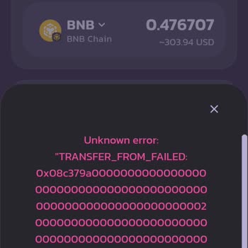Pancakeswap Coin Transferinde Yaşanan Hata Ve Hesap Bakiyesi Sorunu