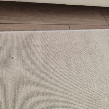 Kaba Üslup Ve Sorumsuzluk: Halı Değişiminde Hayal Kırıklığı