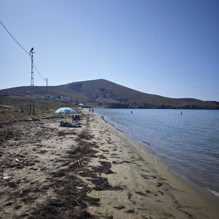 Paşalimanı Poyrazlı Sahili Bakımsız Ve Çöplerle Dolu
