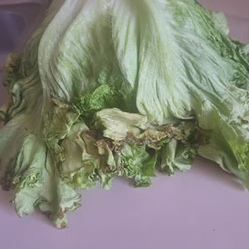 Migros Sanal Marketten Eksik Ve Bozuk Ürün Mağduriyeti