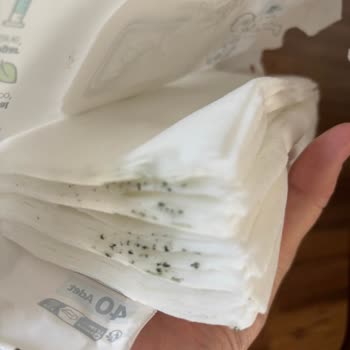 Sleepy Islak Mendilde Küf Ve Sağlık Tehdidi