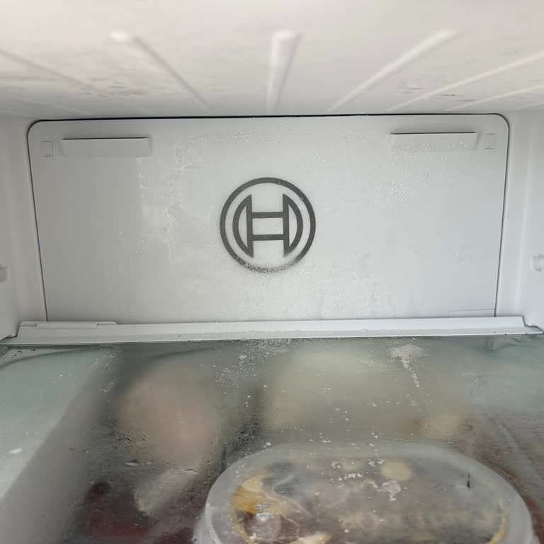 Bosch Buzdolabı Sürekli Arızalı, Değişim İstiyorum!