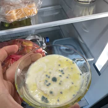 Bosch Buzdolabı Sürekli Arızalı, Değişim İstiyorum!