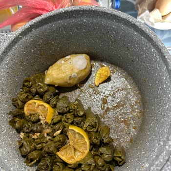 Bosch Buzdolabı Sürekli Arızalı, Değişim İstiyorum!