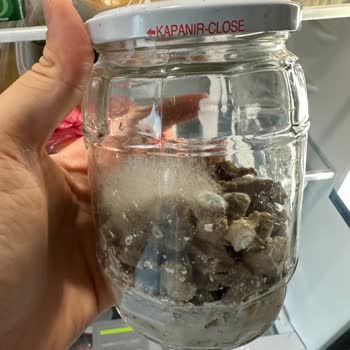 Bosch Buzdolabı Sürekli Arızalı, Değişim İstiyorum!