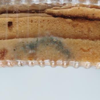 BİM'den Alınan Pasta Tabanı Küflü Çıktı: Son Kullanma Tarihine Rağmen Rafta Satıldı