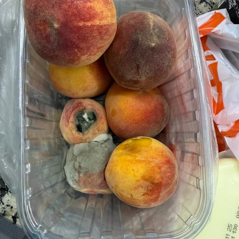 Migros Hemen Canlı Destek Hayal Kırıklığı: Şeftali Sorunuma Çözüm Yok