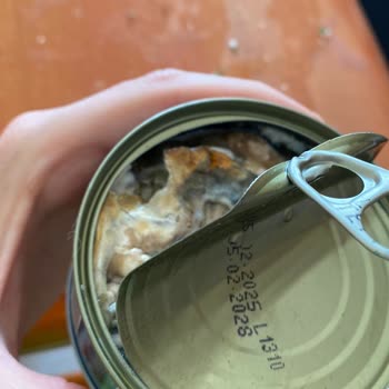 Son Kullanma Tarihine Rağmen Ürünün Kısa Sürede Bozulması Endişe Yarattı