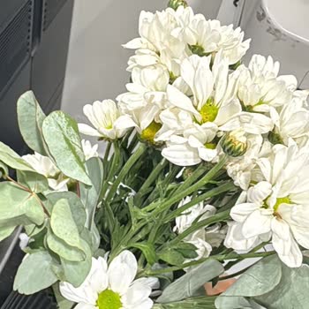 Gönderilen Çiçek Ve Çikolatalarda Kötü Deneyim, Müşteri Hizmeti Yetersizliği