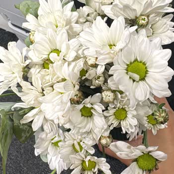 Gönderilen Çiçek Ve Çikolatalarda Kötü Deneyim, Müşteri Hizmeti Yetersizliği