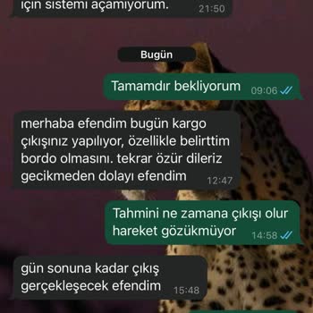 Siparişim İki Haftadır Gelmedi Çözüm Sunulmuyor