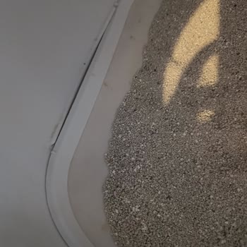 Kısa Sürede Arızalanan Kedi Tuvaleti Ve İade Sorunu