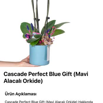 Sipariş Verdiğim Çiçekler Solmuş Ve Görselden Çok Farklı Geldi