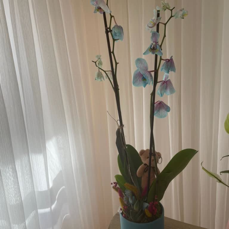 Sipariş Verdiğim Çiçekler Solmuş Ve Görselden Çok Farklı Geldi