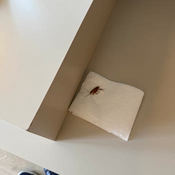 Otelin Hijyen Ve İlgisizliği Tatilimizi Mahvetti