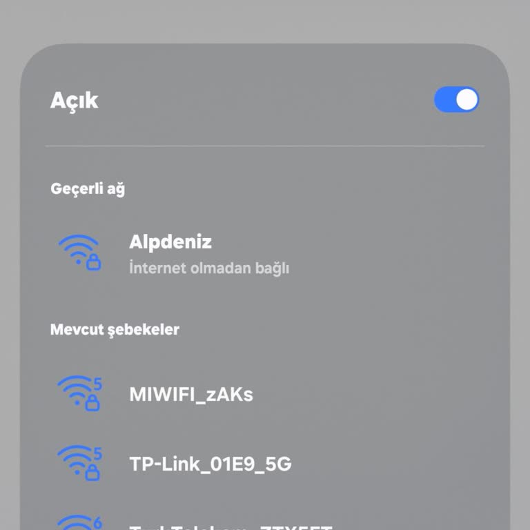 Netspeed'de Sürekli Tekrarlanan Bağlantı Ve Müşteri Hizmetleri Sorunu