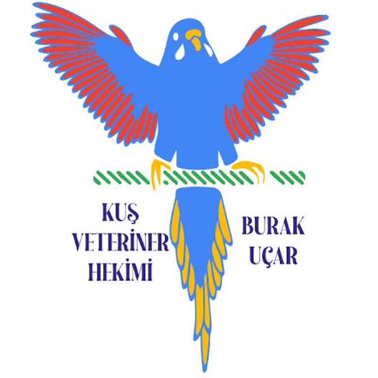 Veteriner Kliniği Tedavi Sürecinde Olumsuz Sonuç Ve Kayıp